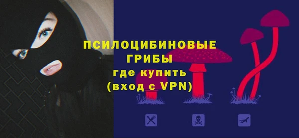 а пвп мука Надым