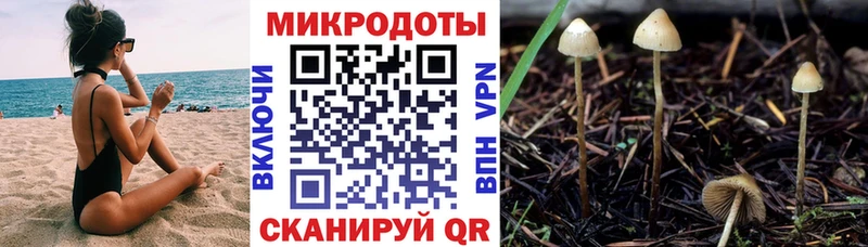 наркошоп  Власиха  darknet наркотические препараты  Псилоцибиновые грибы мицелий 